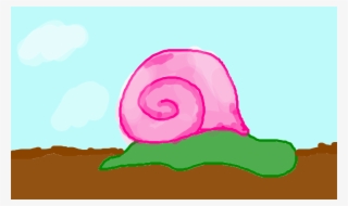 Caracol - Illustration
