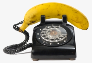 Bigstock Banana 7699599