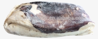 Igneous Rock