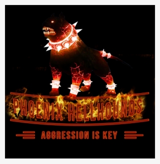 Phoenix Hellhounds Has Now Joined The Gaming Insomniacs - Night