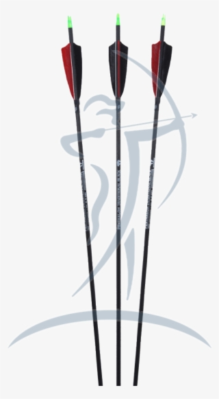 Penthalon Traditional Black Carbon Arrow With Feathers - Speaker Wire