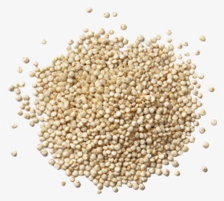 Did U Know - Feel Good Superfoods Whey Protein Crisp / Pure &