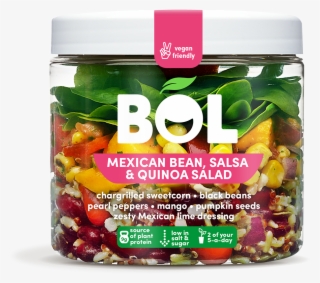 Mexican Bean, Salsa & Quinoa Salad