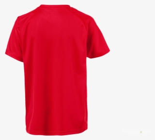 Football Shirt Puma Liga Core 703509 01 Puma