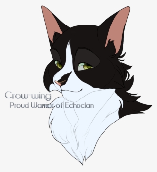 Crowwing - Cartoon