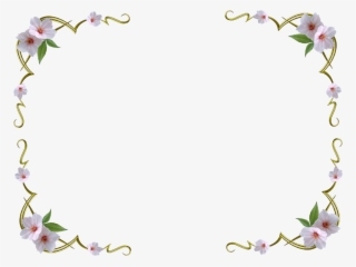 White Flower Background Png - Background Images Flowers White