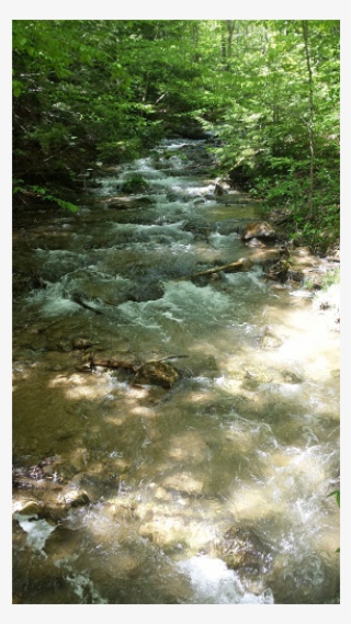 Water Rushes Along Creek Bed On The Falling Water Trail - Beaver Valley Ski Club
