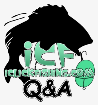 Pro Angler Fishing Tips And Advice