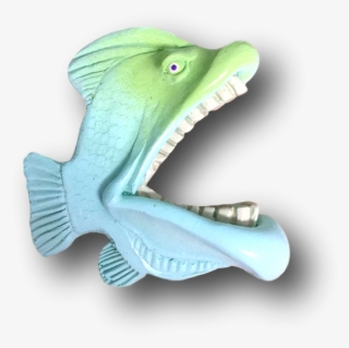 King George Fish With Attitude By Mike Quinn - American Crocodile