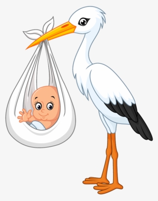 Imagens Png De Cegonhas
