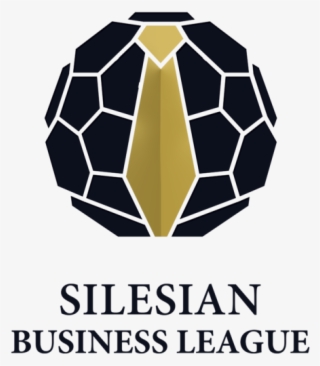 Ngk Ceramics Vs Schneider Electric Silesian Business - Sports