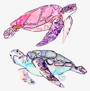 Clip Art Sea Cartoon Illustration Transprent Png Free - Watercolor Sea Turtle Clipart
