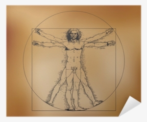 Vitruvian Man With Crosshatching