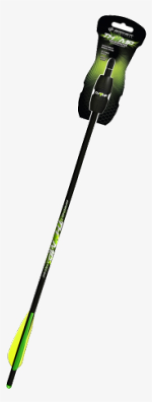 Ski Pole