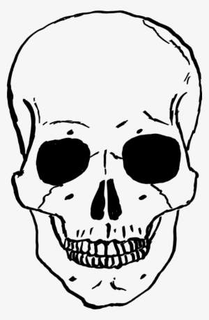 Free Stock Photo - Skull Clipart