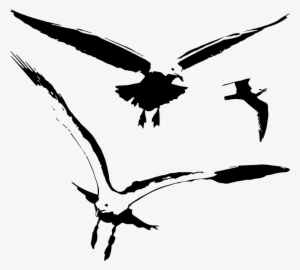Seagull Birds Vector Silhouette - Vector Graphics