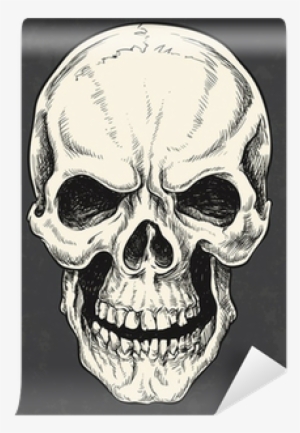 Drawn Skull Vector - Man The Myth The Legend Wilson The Man The Myth