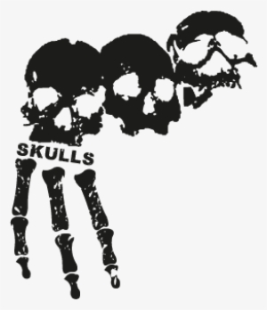 3 Skulls Vector - 3 Skulls Logo