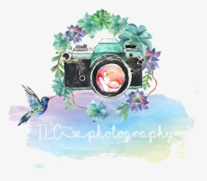 Newborn, Family, Maternity Photographer, Photo Shoot, - All Offers Are Welcome