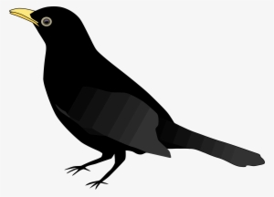 Chimney Swift Clipart, Vector Clip Art Online, Royalty - Blackbird Clipart