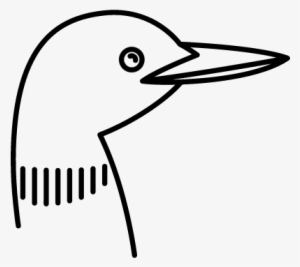 Bird Vector - Bird
