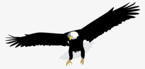 Eagle Free Vector Download 394 Free Vector For Commercial Use