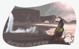 Vector Illustration Of Iceland With Pelagic Seabird - Illustration