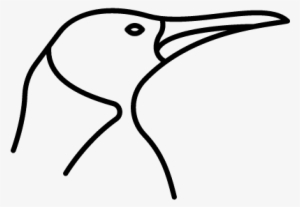 Bird Vector - Bird