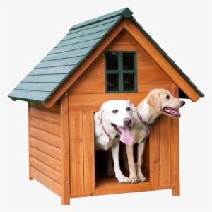 Dog House Png