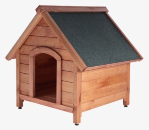 Dog Kennels/dog Houses