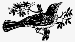 Mockingbird Png
