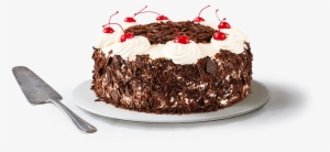 Picture Of An Ann's Bakery Black Forest Gateaux Cake - Black Forest Cake Transparent Background