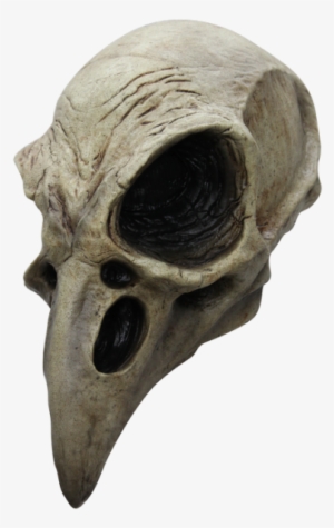 Bureaucrat Skull - Crow Skull