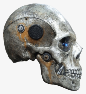 Skeleton Head Png Photo - Skull