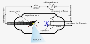 Images/tubo Cw - Portable Network Graphics