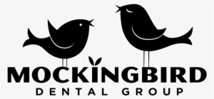 Old World Flycatcher