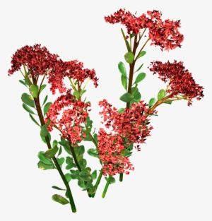 This Product Design Is Hand Painted Red Small Floral - Portable Network Graphics