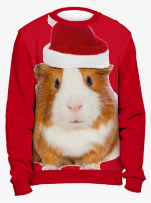 Ugly Christmas Sweater-guinea Pig - Delta Sigma Theta Ugly Sweater