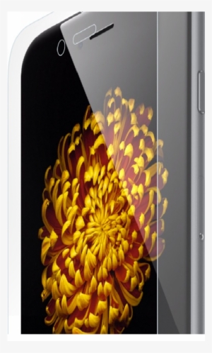 Iphone Where To Insert Sim Card