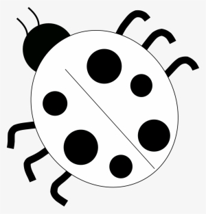 Ladybug - Drawing - Black - And - White - Black And - Ladybug Clip Art