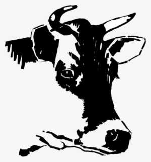 595 X 595 - Cabeza De Vaca Vector Png