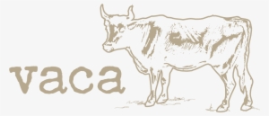 Contact - Careers - Dairy Cow