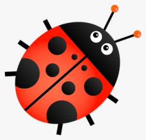 Ladybug Insect Animal Cartoon Bug Beetle L - Ladybug Clipart Transparent Background