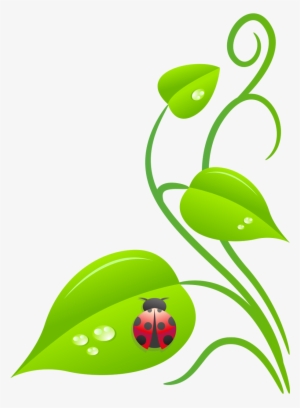 Ladybug Vine - Botanical Garden Clip Art