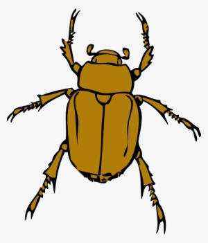 Beetle Bug Clip Art Png - Beetle Clipart