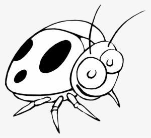 Drawing Ladybug Png Royalty Free Stock - Lady Bird Insect Black And White