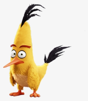 Angry Birds The Movie Chuck - Angry Birds Film Chuck
