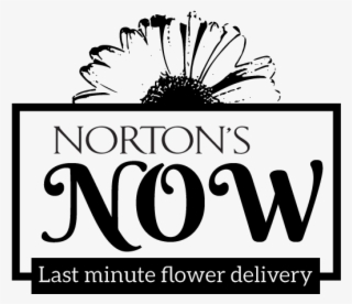 Logo Design By Bern Gd For Norton's Florist - Graphic Design