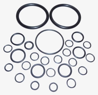 Massey Ferguson Hydraulic Pump Seal Kit (2) - Pump