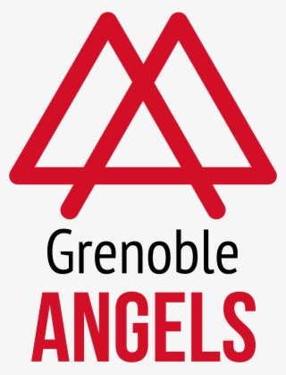 Nouvelle Charte Graphique Pour Grenoble Angels - Logo
